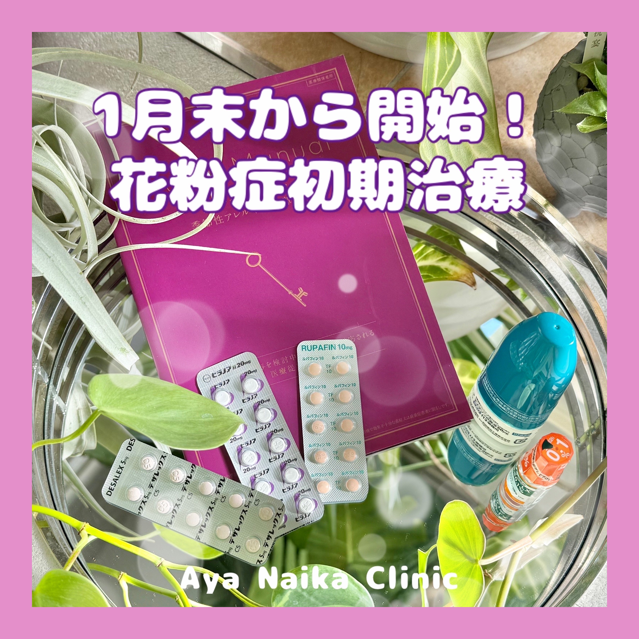 2025年花粉症予防